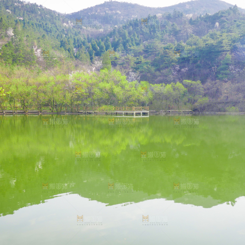 湖泊里的水