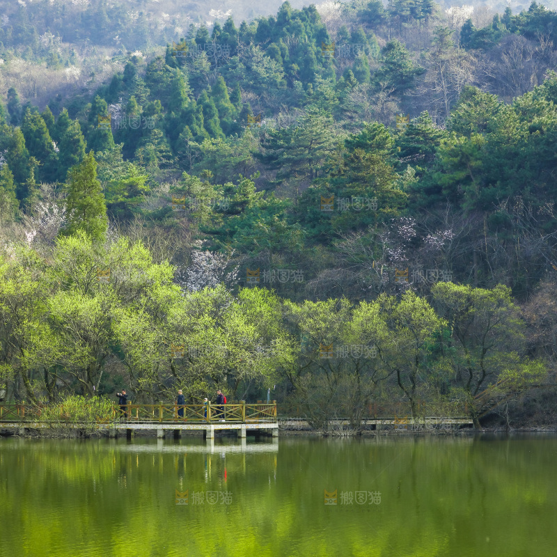 湖泊里的水