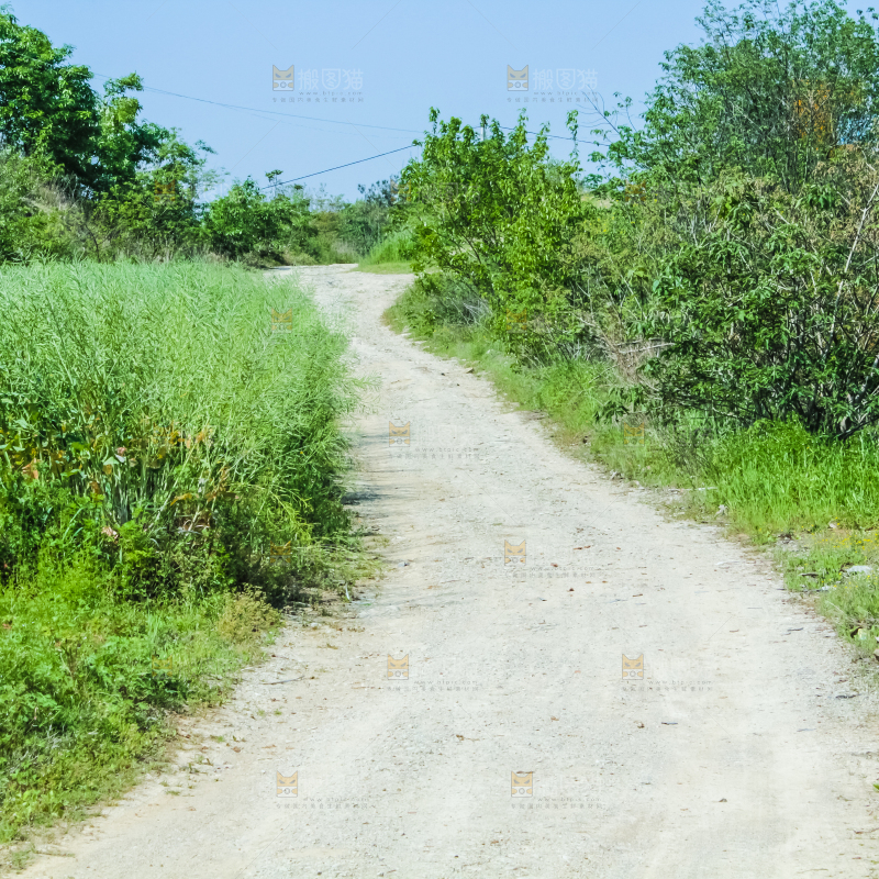 一条乡间小路
