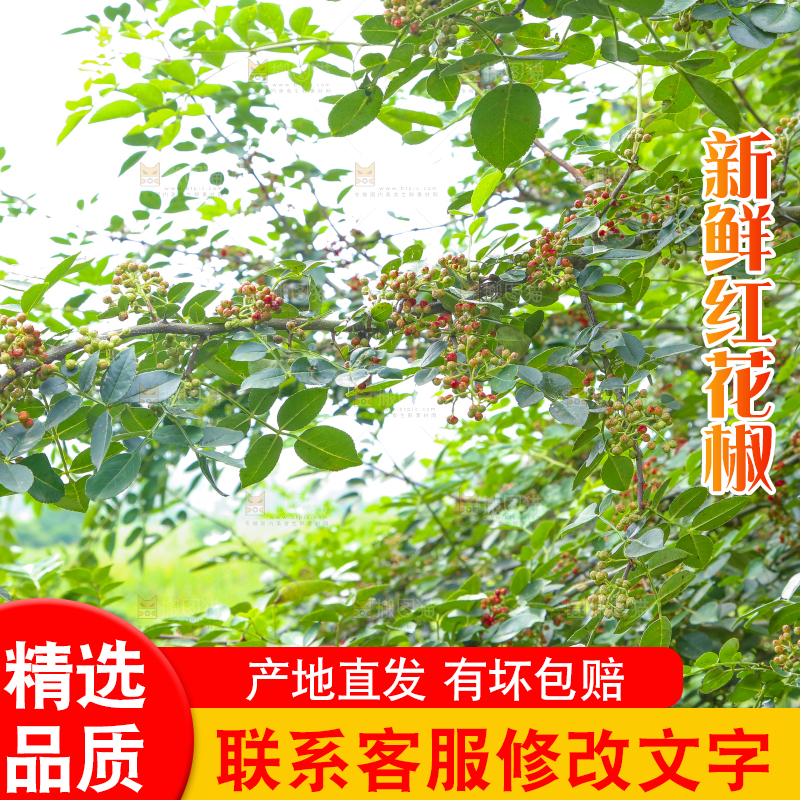 树上的花椒