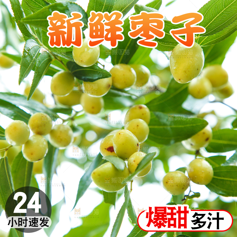 树上的枣子