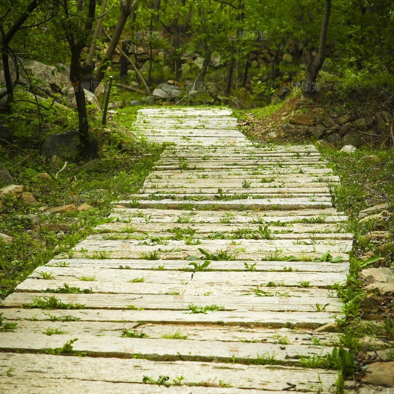 林间小路