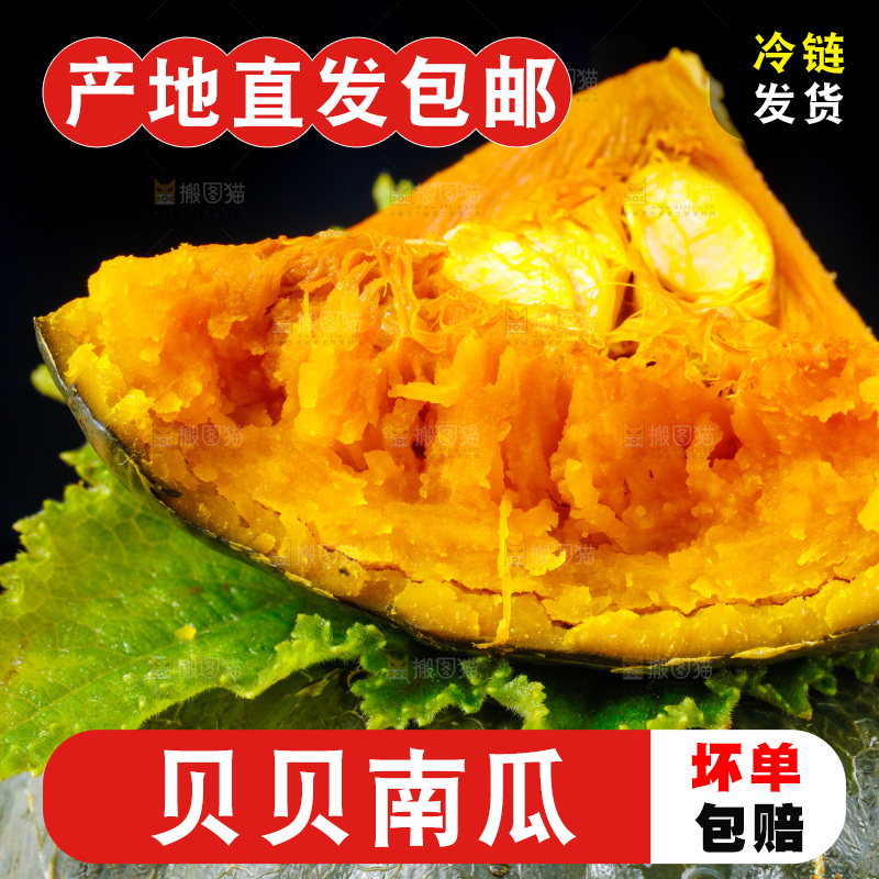 深底上摆放着贝贝小南瓜