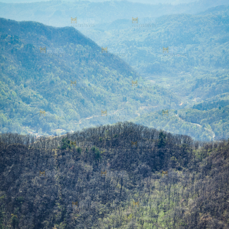 一片大山