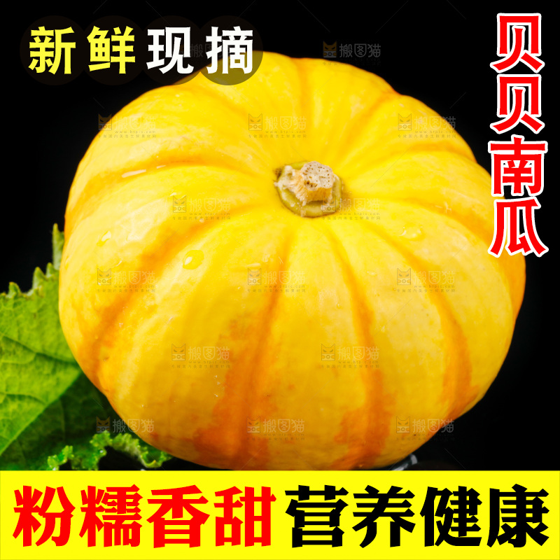 黑底上摆放着金银桔南瓜