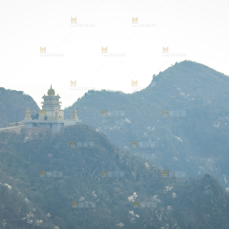 山上的绿植