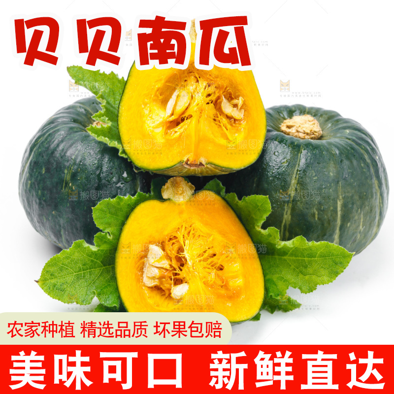 白底上摆放着绿贝贝南瓜