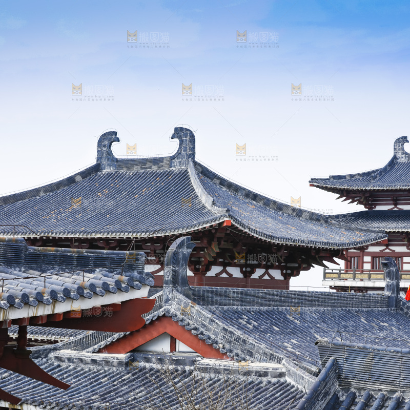 建筑的屋顶