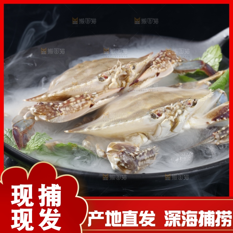 碟子装着舟山梭子蟹