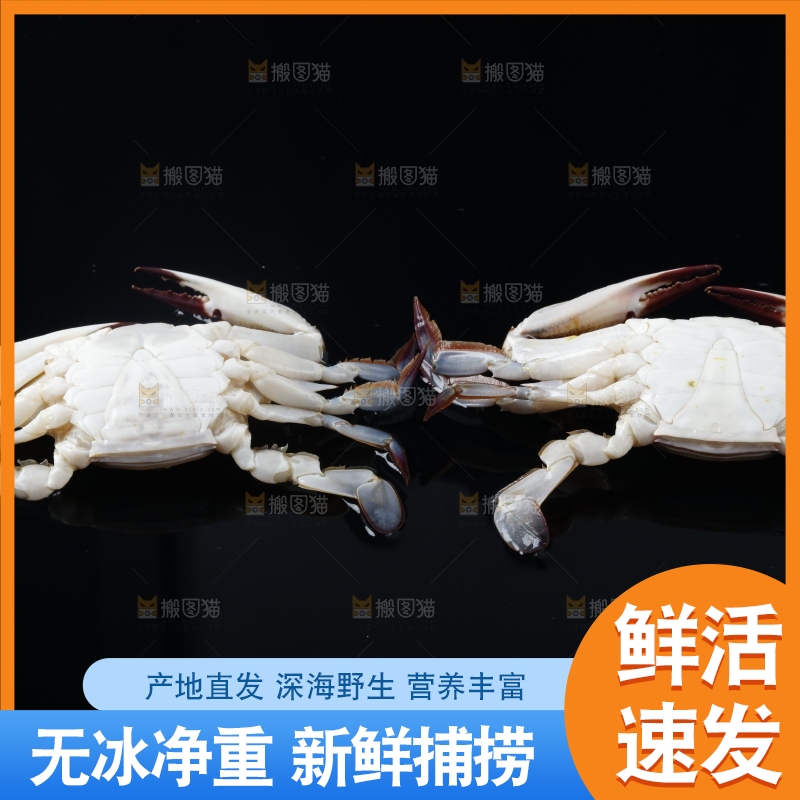 黑底上摆放着海螃蟹