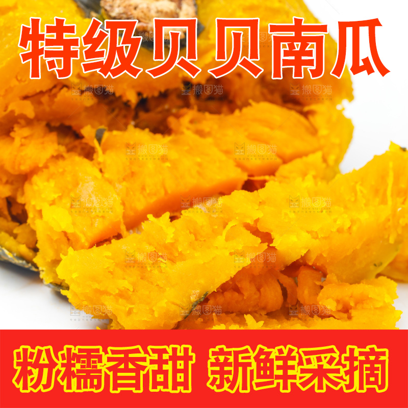 白底上摆放着板栗南瓜