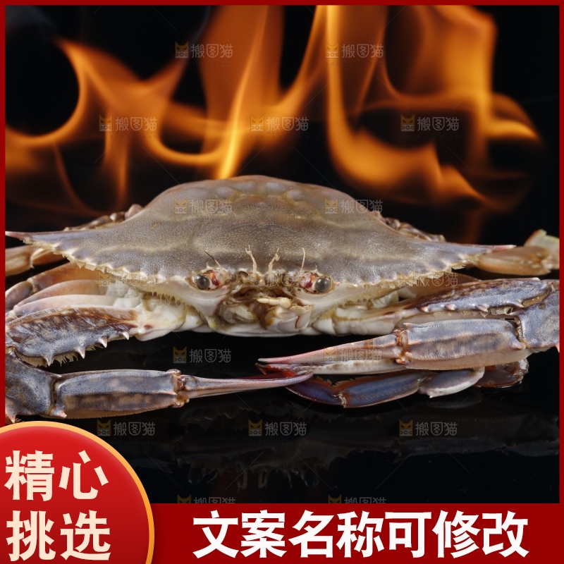 手里拿着海带头