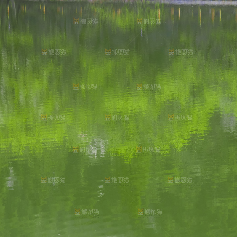 湖泊里的水