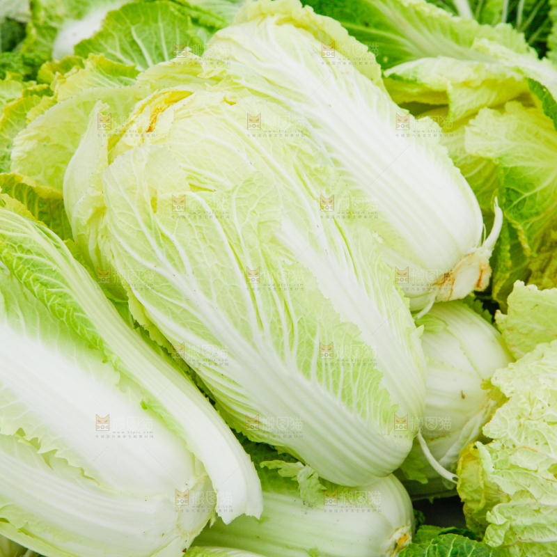 地上放着新鲜白菜