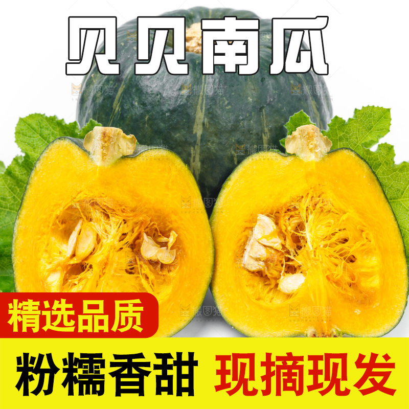 白底上摆放着绿贝贝南瓜