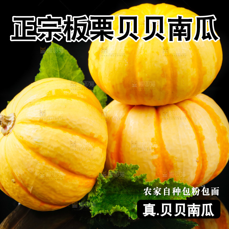 黑底上摆放着金银桔南瓜