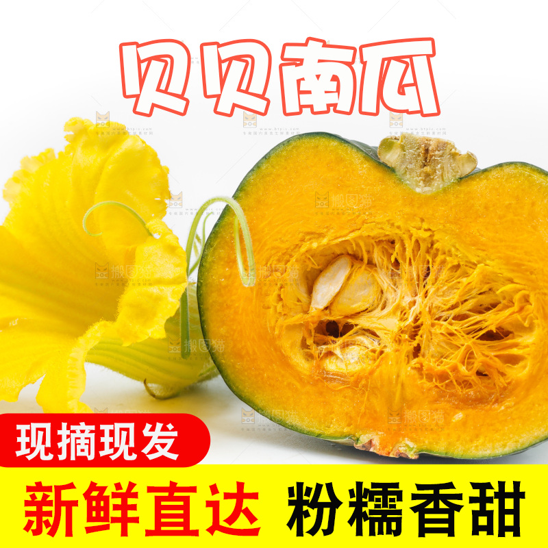 白底上摆放着贝贝南瓜