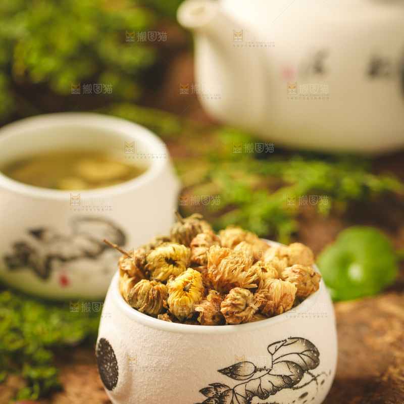 杯子里装着菊花