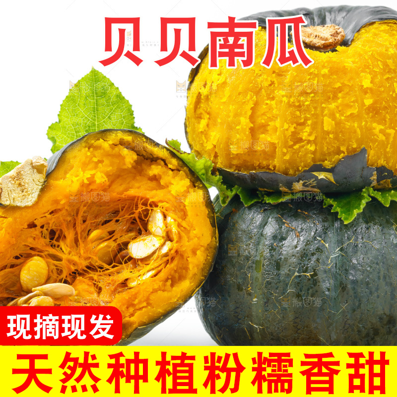 白底上放着贝贝小南瓜