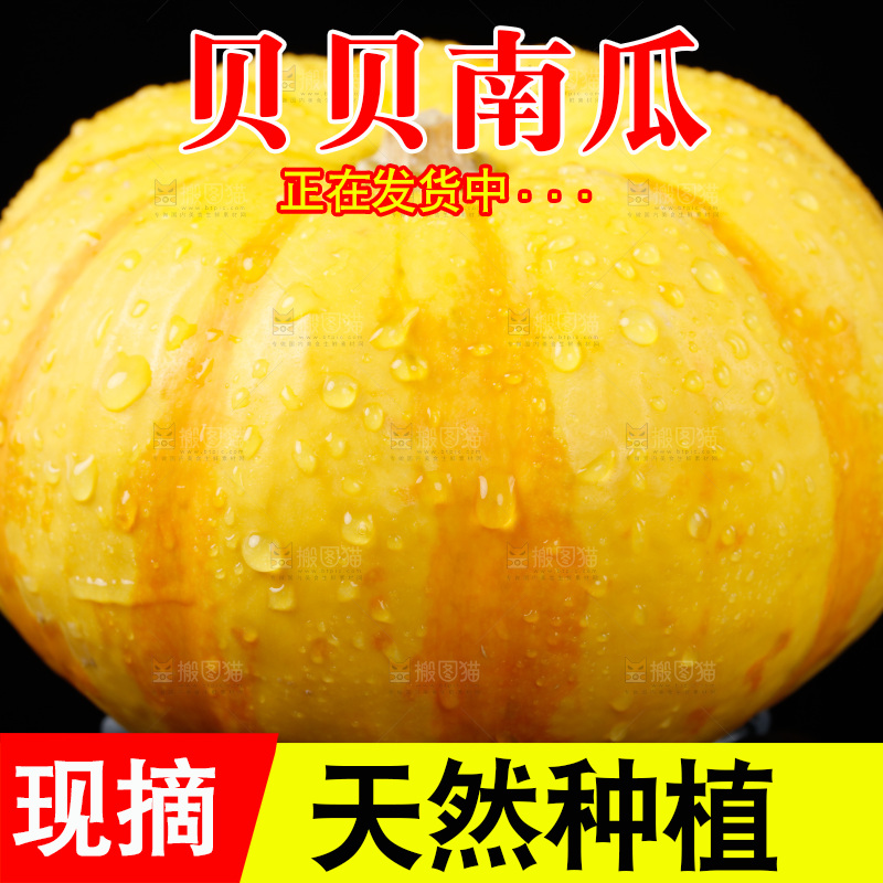 黑底上放着金银桔南瓜