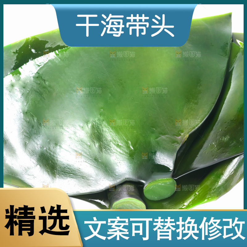 白底上摆放着海带头