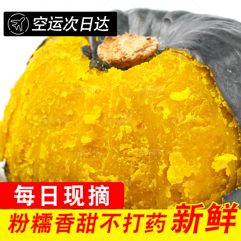 白底上摆放着板栗南瓜