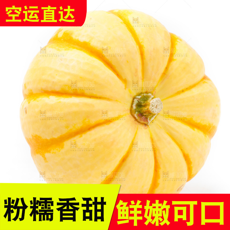 白底上摆放着金贝贝南瓜