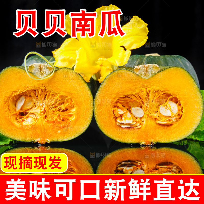 深底上摆放着贝贝小南瓜