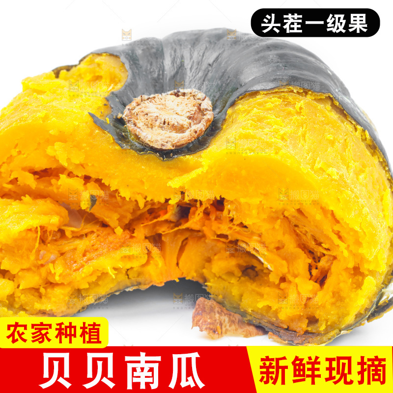 白底上放着贝贝南瓜