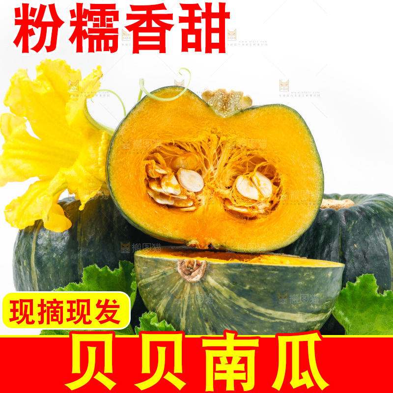 白底上摆放着贝贝南瓜