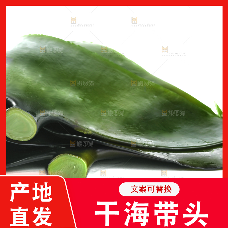 白底上摆放着海带头