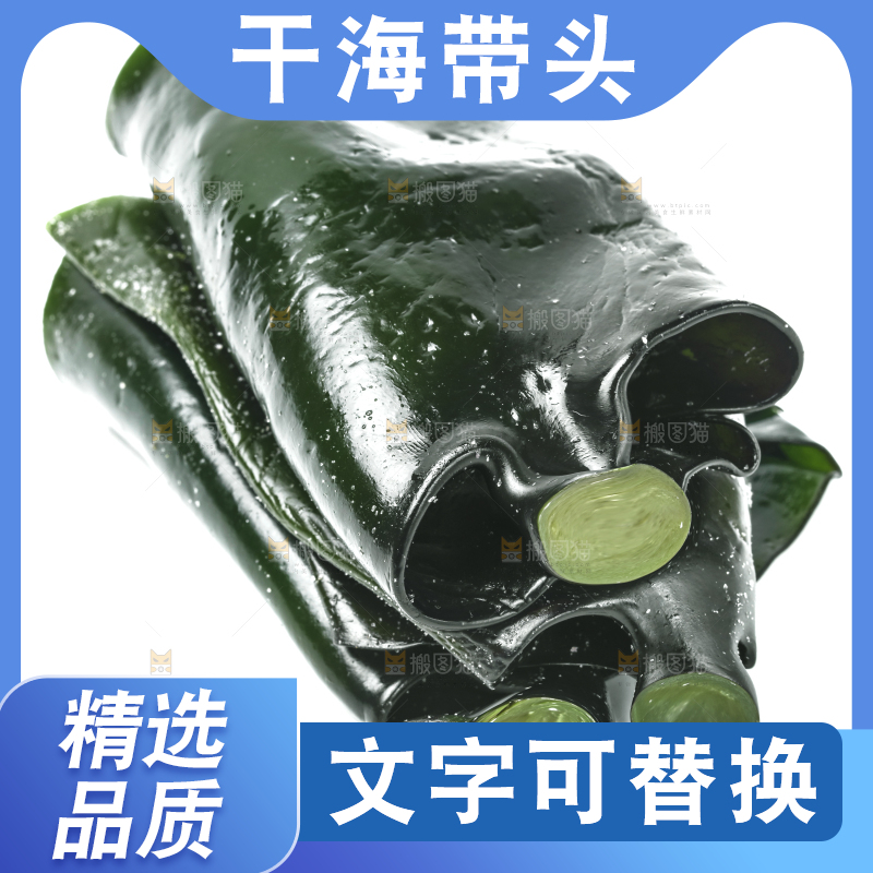 白底上摆放着海带头