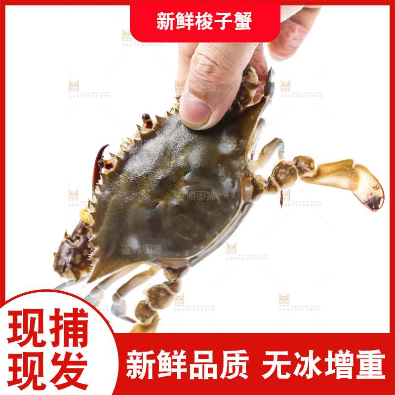 手里拿着螃蟹