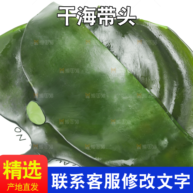 白底上摆放着新鲜海带