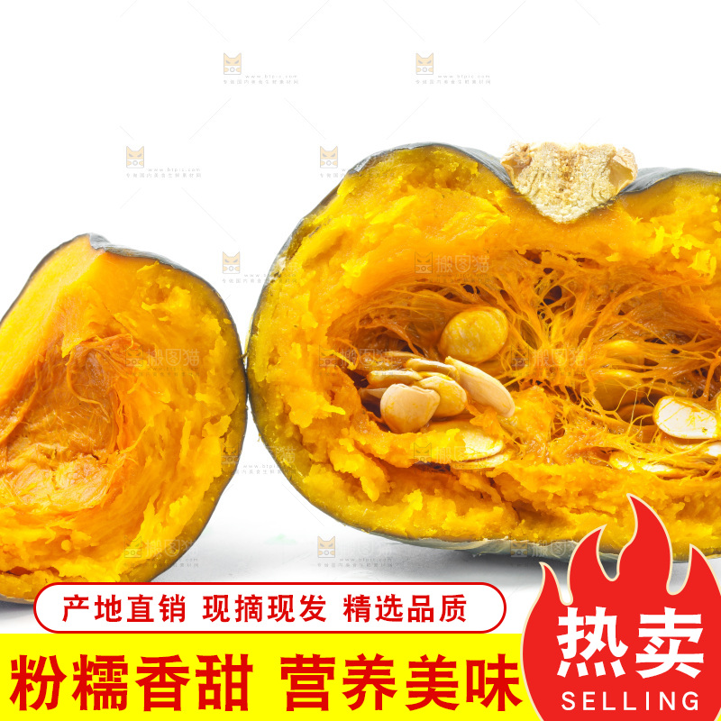白底上放着贝贝小南瓜