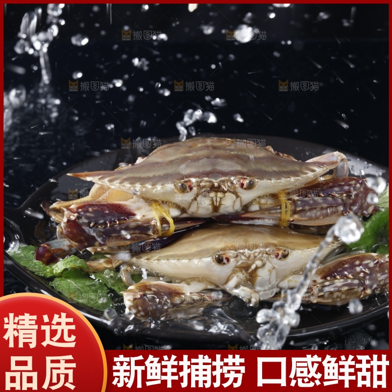 碟子装着舟山梭子蟹