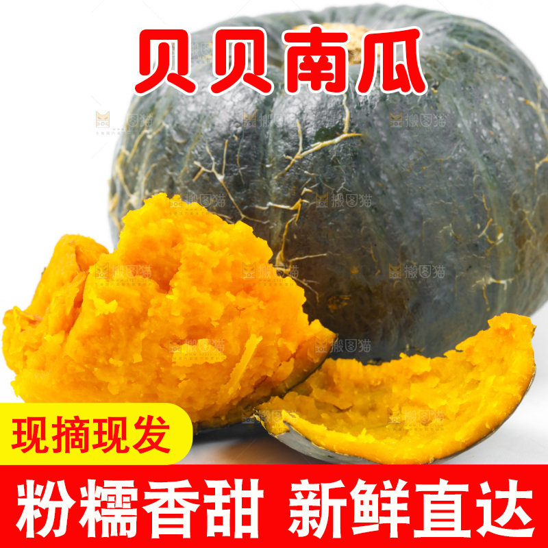 白底上摆放着板栗南瓜