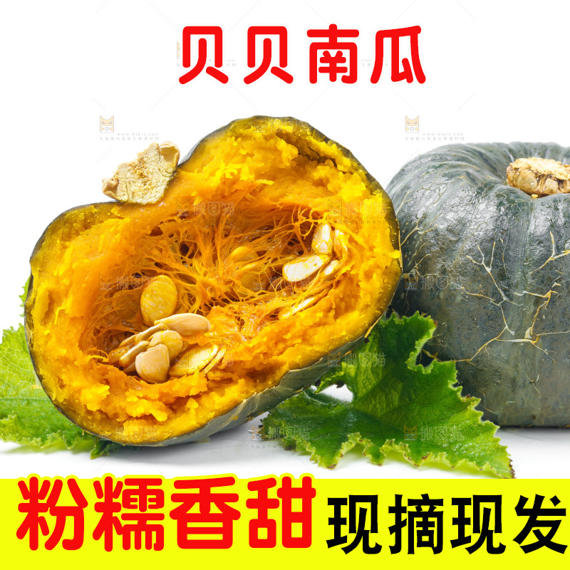 白底上放着贝贝小南瓜