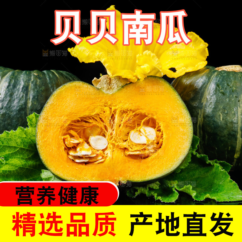 深底上摆放着贝贝小南瓜