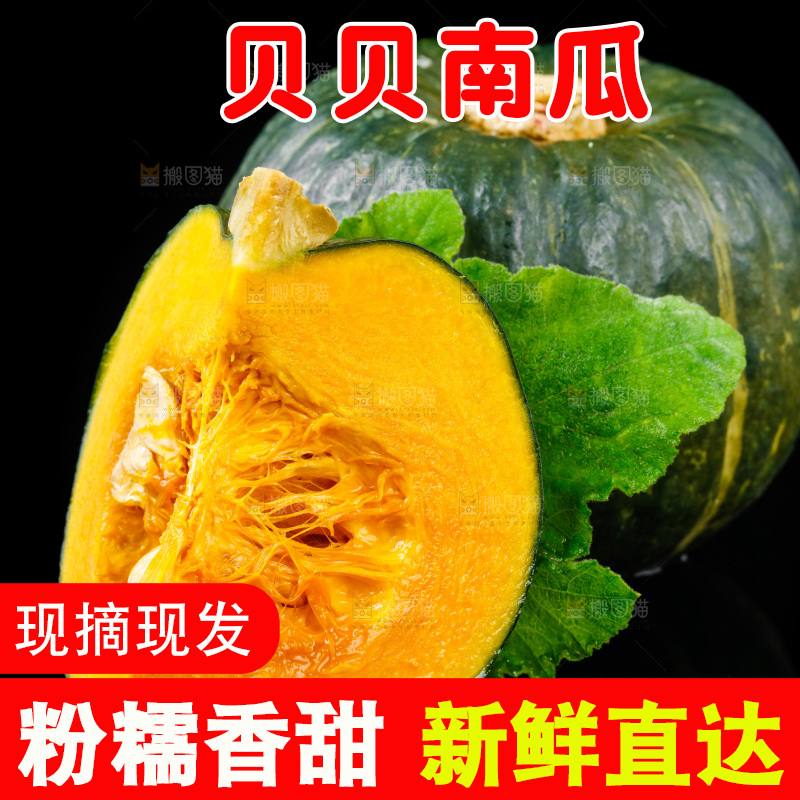 黑底上摆放着板栗南瓜