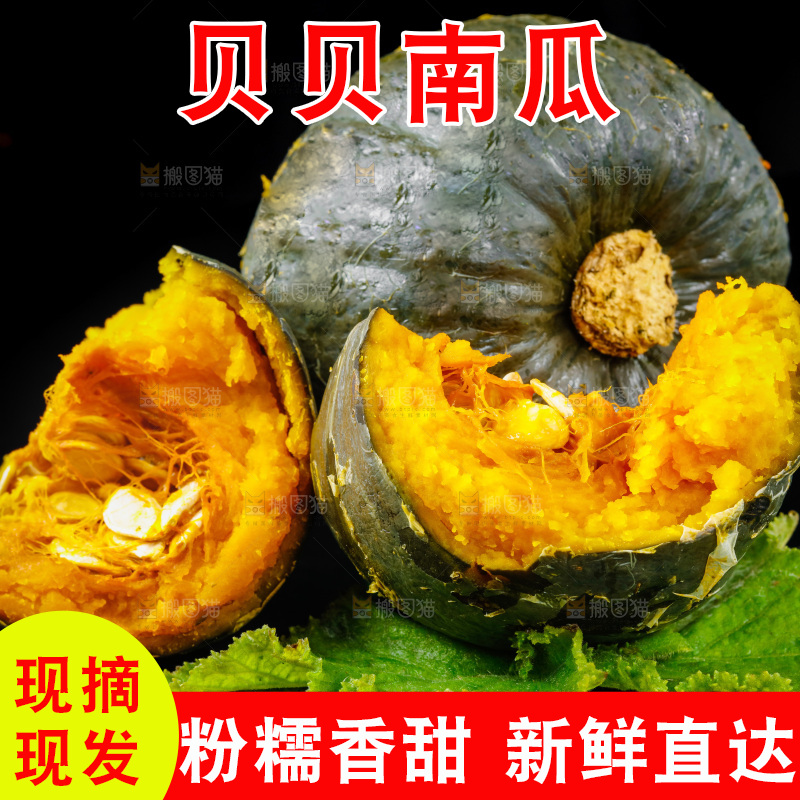 黑底上摆放着绿贝贝南瓜