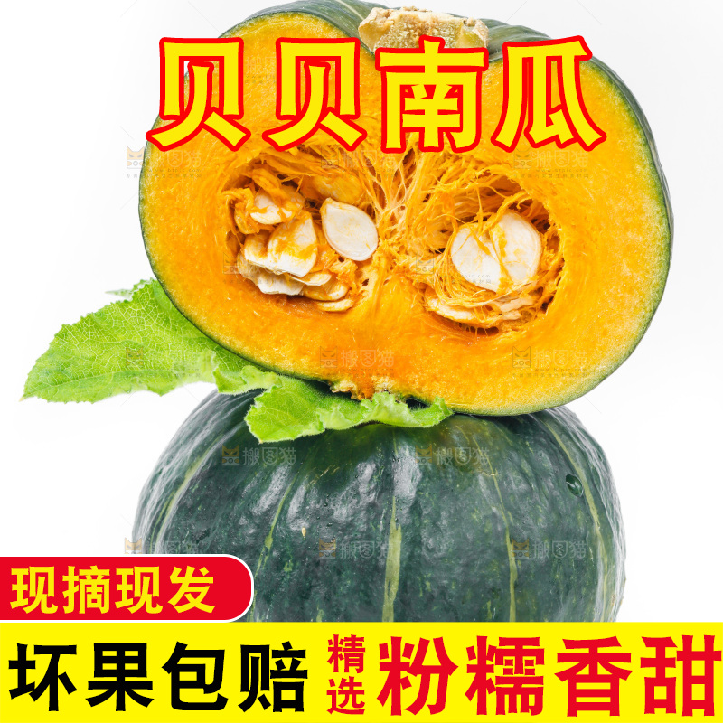 白底上摆放着贝贝南瓜