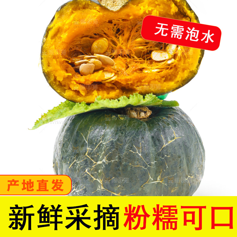 白底上放着贝贝小南瓜