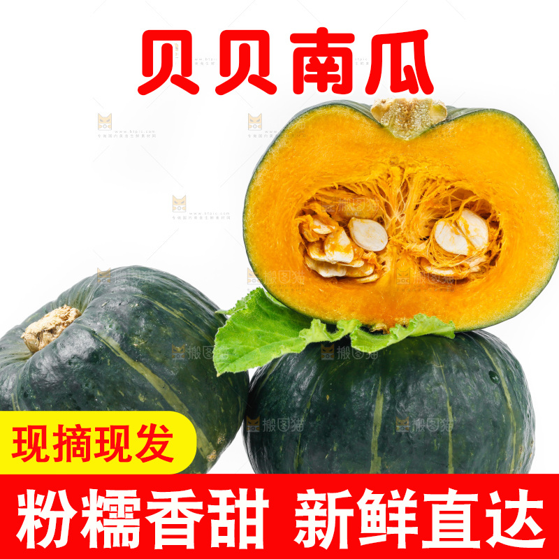 白底上摆放着贝贝南瓜