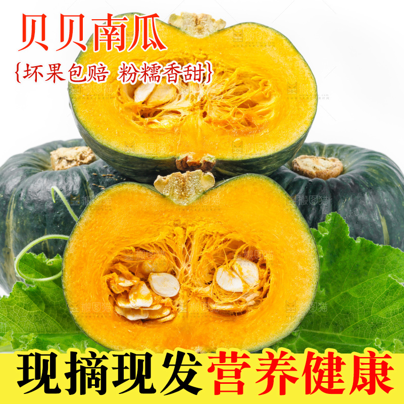 白底上摆放着贝贝南瓜