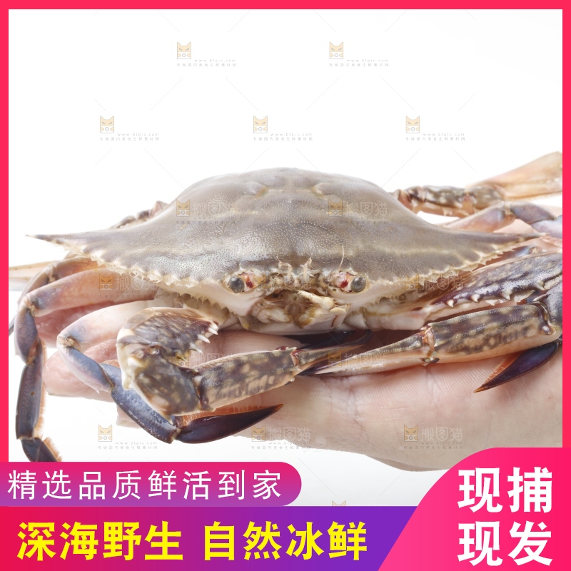 手里拿着螃蟹