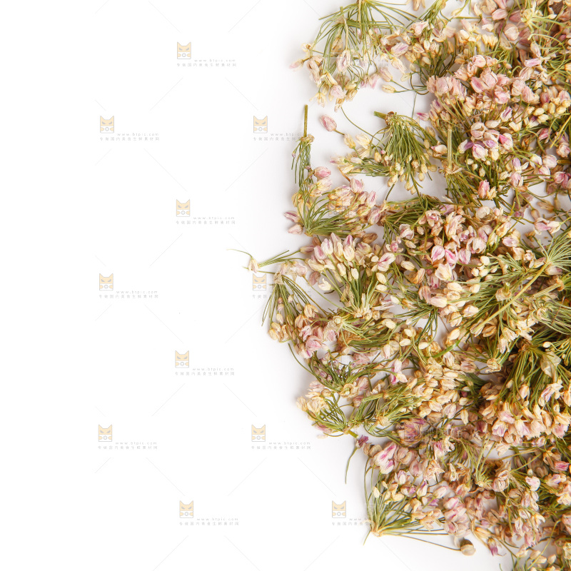 白底上摆放着干扎蒙花