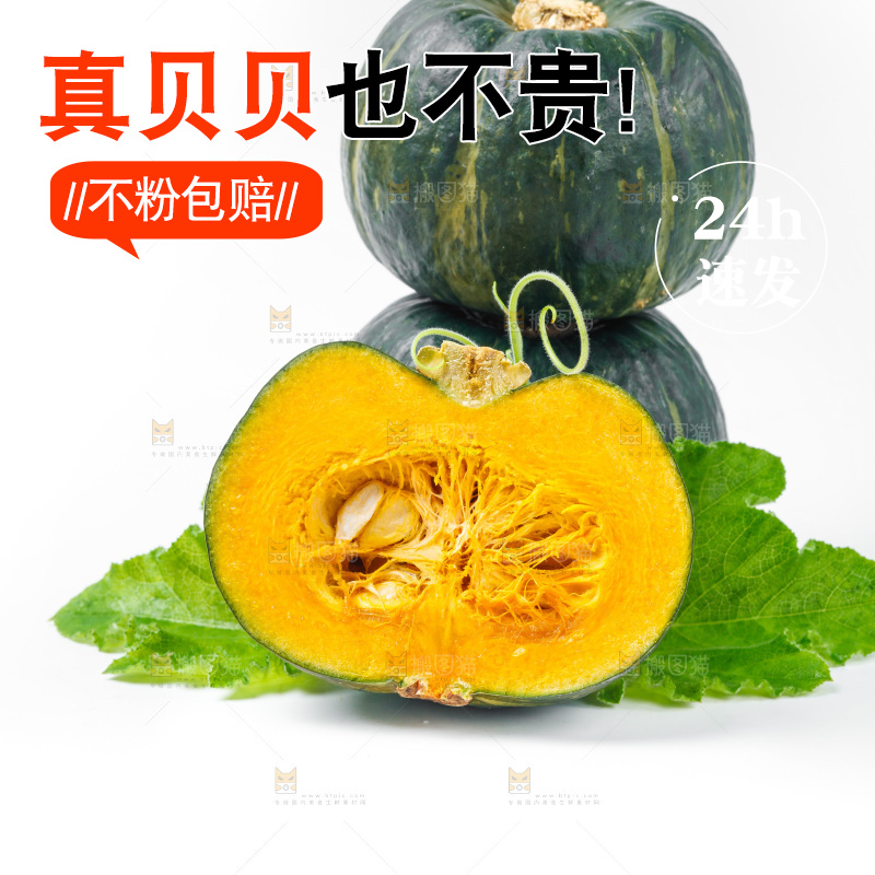 白底上摆放着贝贝南瓜