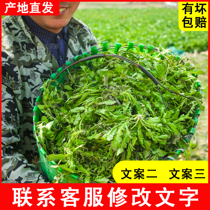 农民手里端着一篮新鲜荠菜