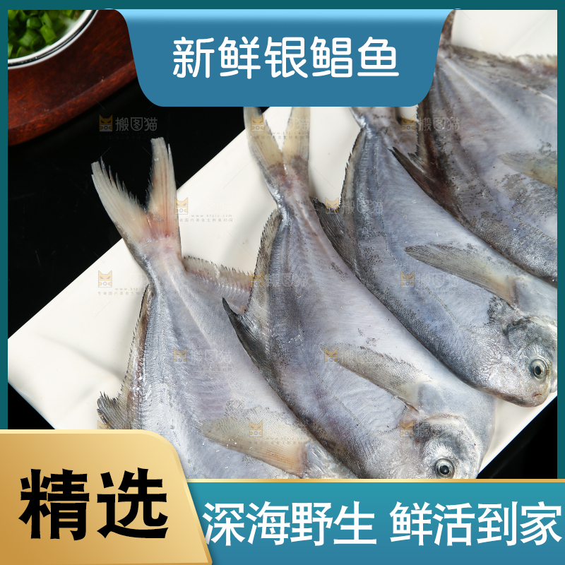 黑底上摆放着一盘舟山银鲳鱼